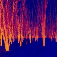 紅外光的波段應該怎么劃分？